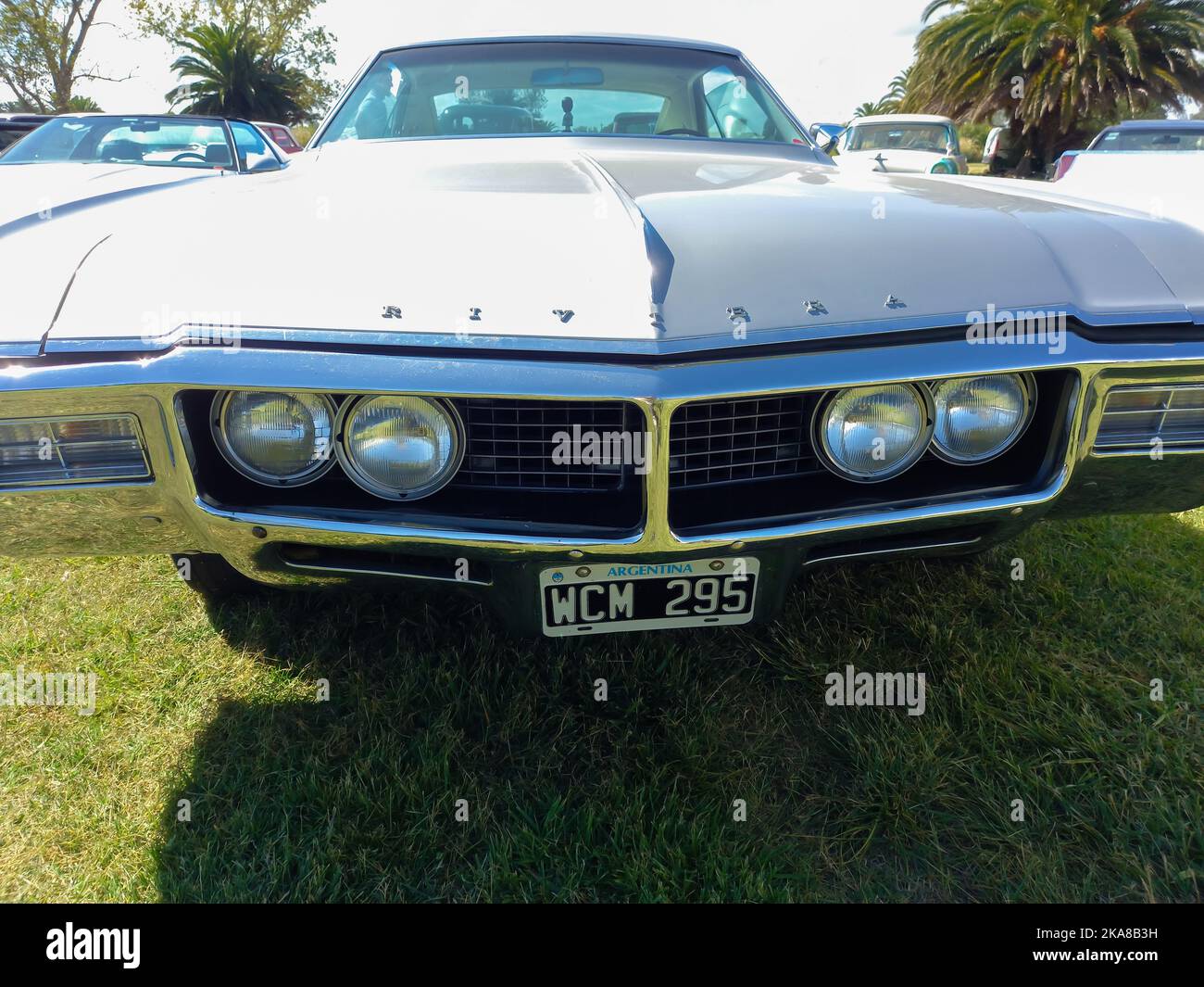 Vieux gris argenté Buick Riviera coupé hardtop deuxième génération 1966 - 1969 dans la campagne. Vue avant. Nature, herbe, arbres. Voiture de luxe classique Banque D'Images