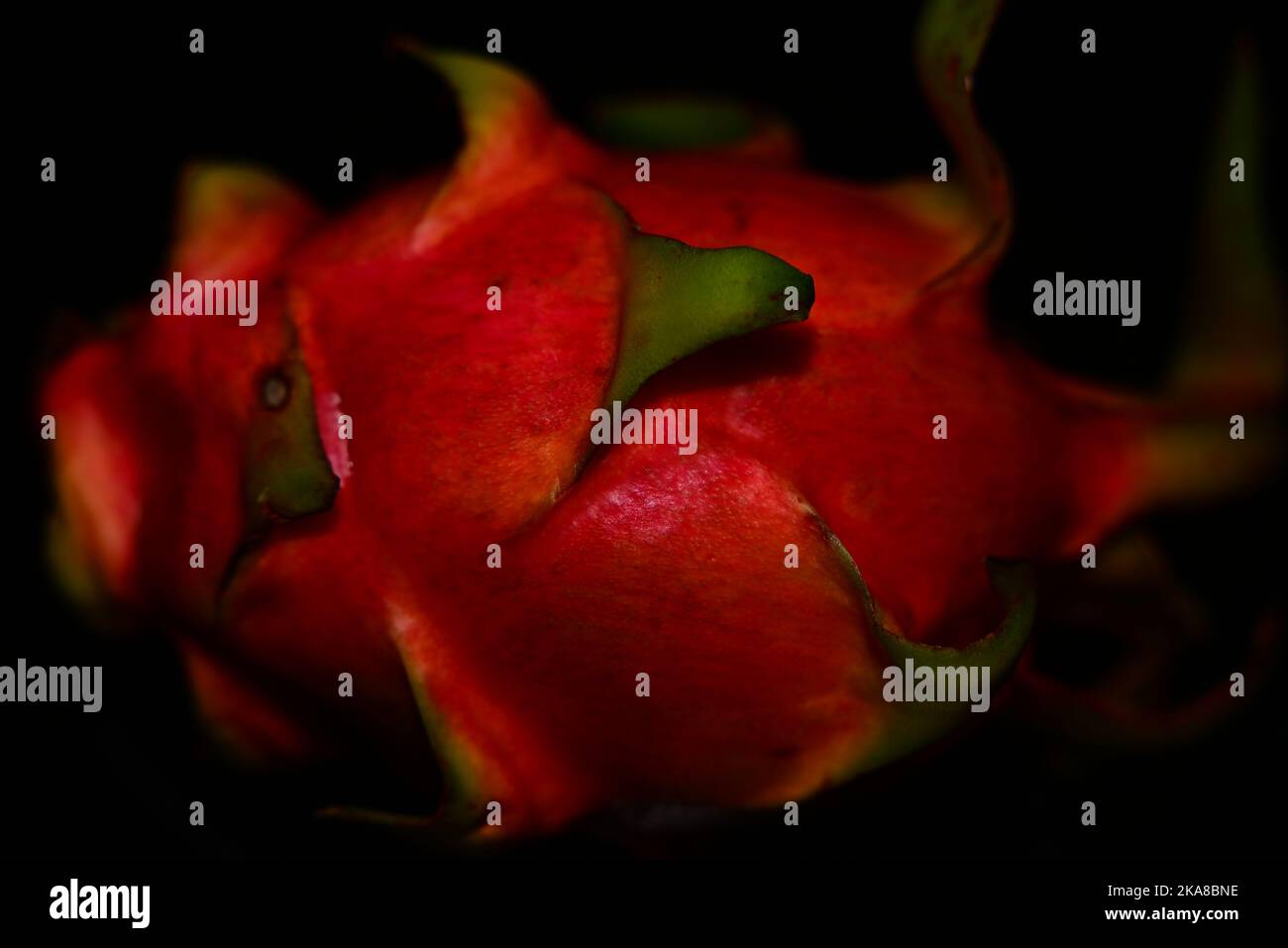 Gros plan d'un fruit dragon frais isolé sur fond sombre Banque D'Images