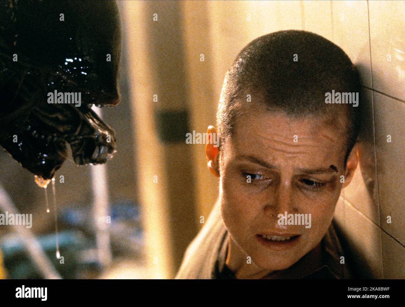 Alien 3 Sigourney Weaver Banque D'Images