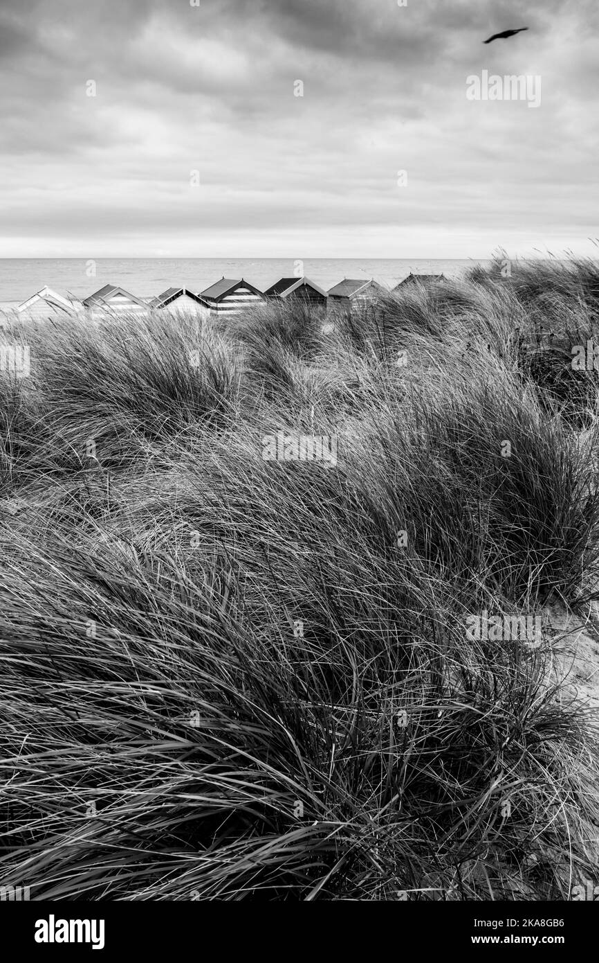Cabines de plage près de Southwold, côte du Suffolk. Banque D'Images