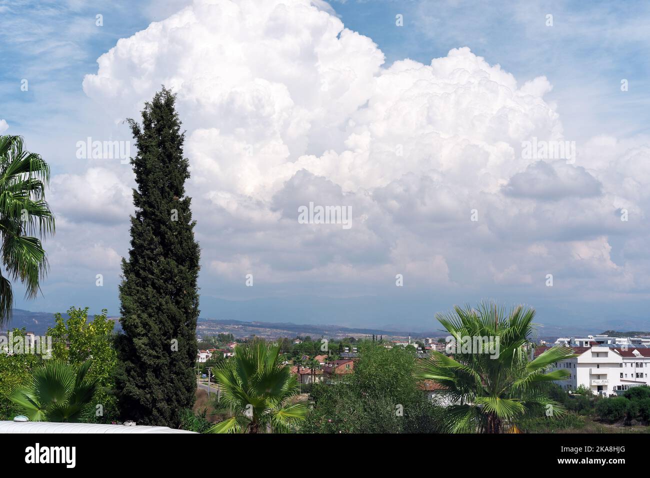 Pins et palmiers sur le terrain et bâtiment blanc à distance dans une journée nuageux Banque D'Images