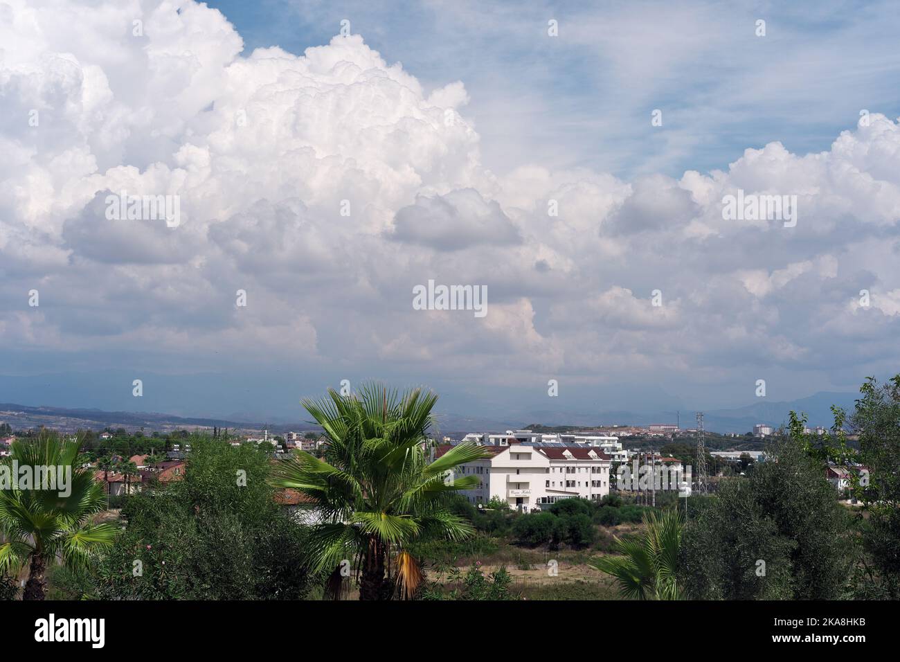 Pins et palmiers sur le terrain et bâtiment blanc à distance dans une journée nuageux Banque D'Images