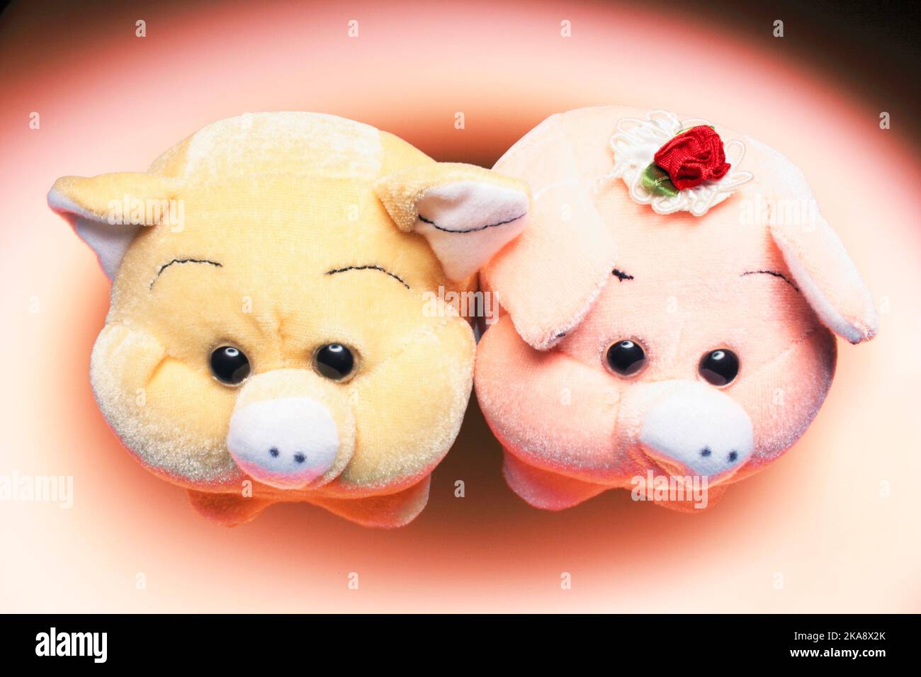 Cochons en peluche Banque D'Images
