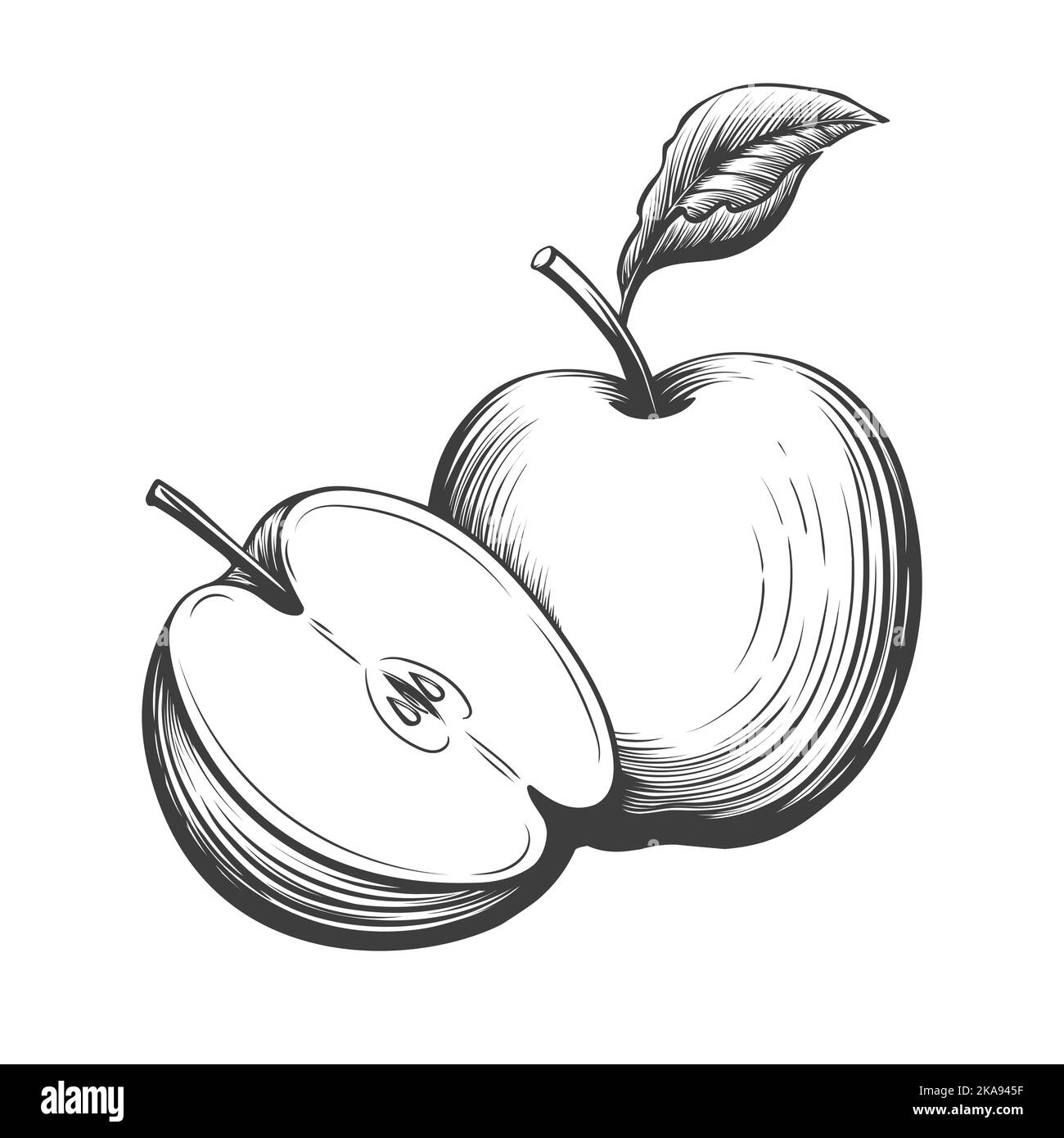 Pomme à gravure vintage Illustration de Vecteur