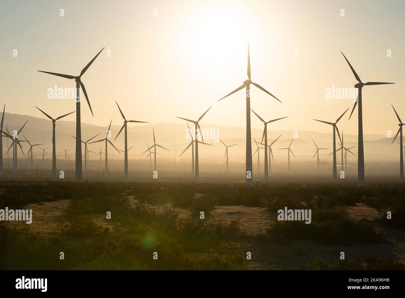 Silhouettes d'une ferme éolienne dans le désert près de Desert Hot Springs, Californie Banque D'Images