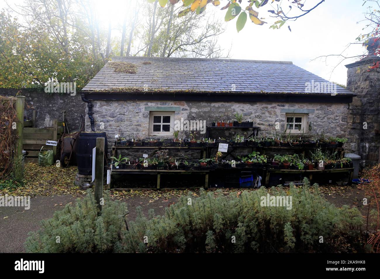 Le hangar de potage, Cowbridge Physic Garden, début de l'automne 2022. Octobre. Banque D'Images