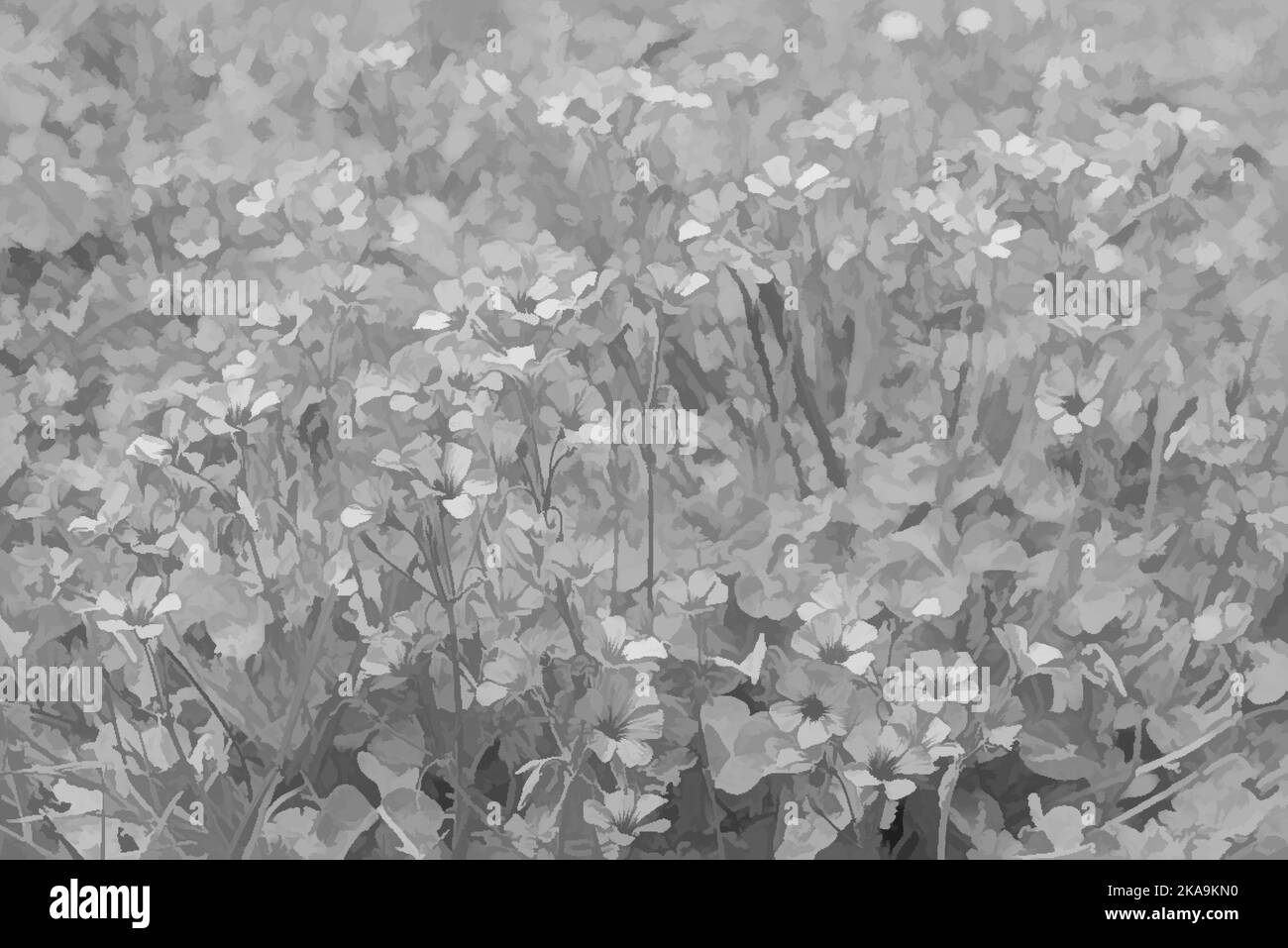 Une photo noir blanc d'un paysage magnifique avec de belles petites fleurs Banque D'Images