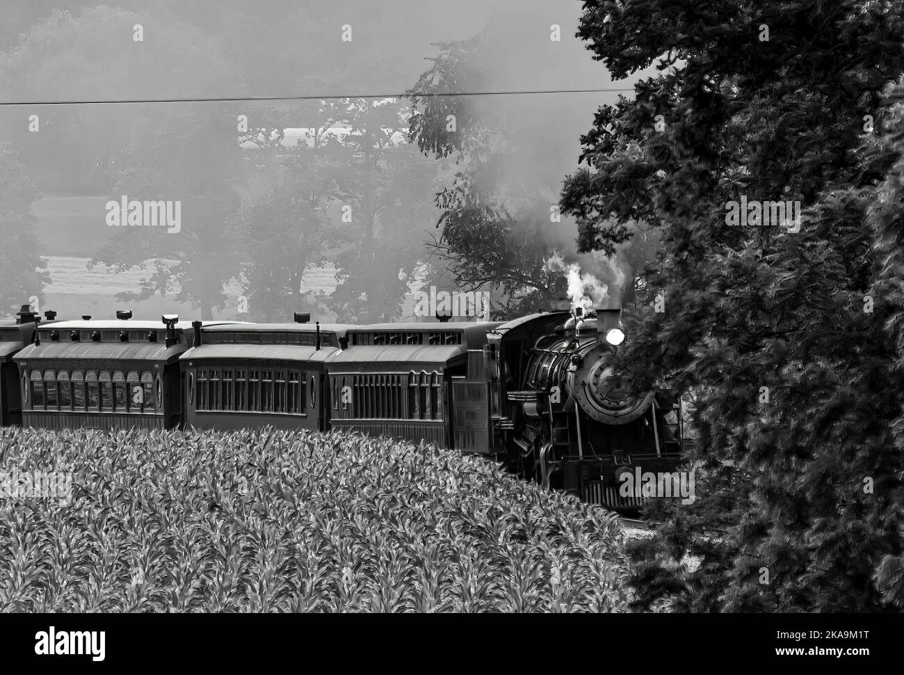 Vue d'un train de voyageurs à vapeur restauré qui s'approche d'une courbe avec de la fumée et de la vapeur en noir et blanc Banque D'Images