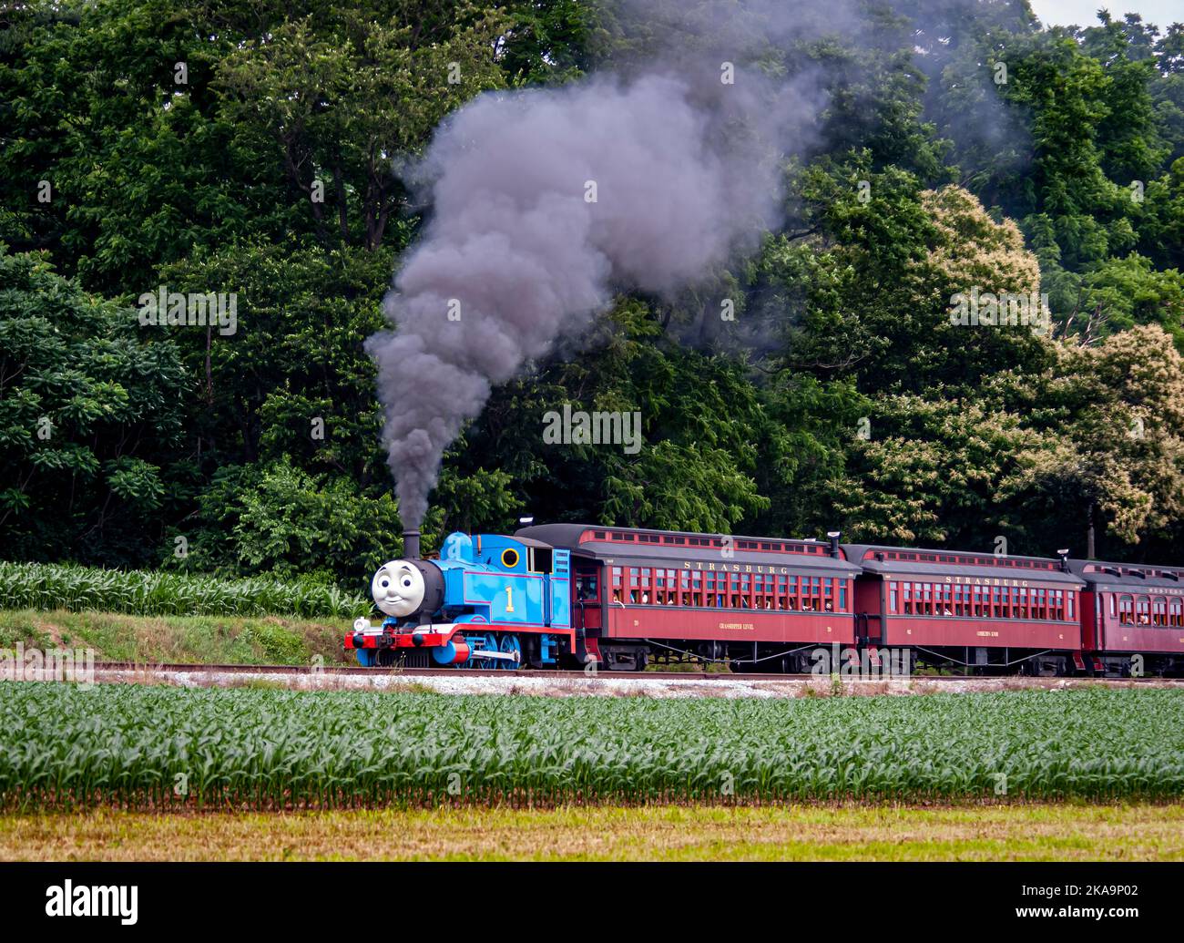 Strasburg, Pennsylvanie. 48 juin 2021 - vue de Thomas le train tirant des voitures de passagers soufflant de la fumée et de la vapeur lors d'une journée ensoleillée Banque D'Images
