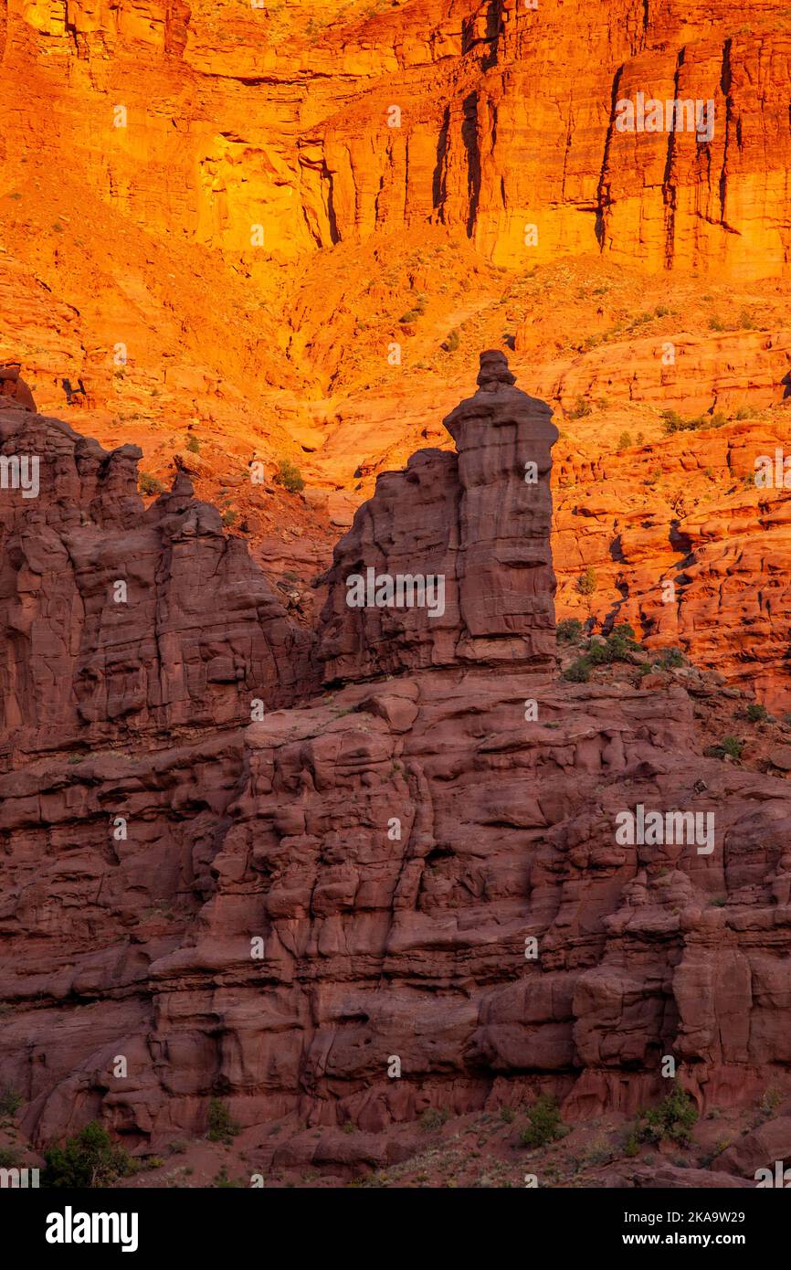 Un hoodoo en grès de Cutler a appelé l'évêque dans les tours Fisher au coucher du soleil près de Moab, Utah. Banque D'Images