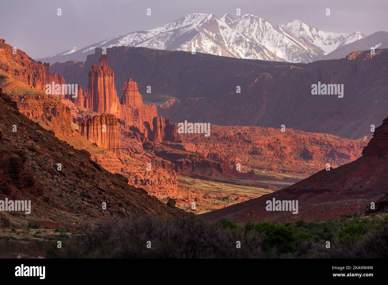 Fisher Towers, Fisher Mesa et les montagnes enneigées de la Sal au coucher du soleil près de Moab, Utah. Banque D'Images