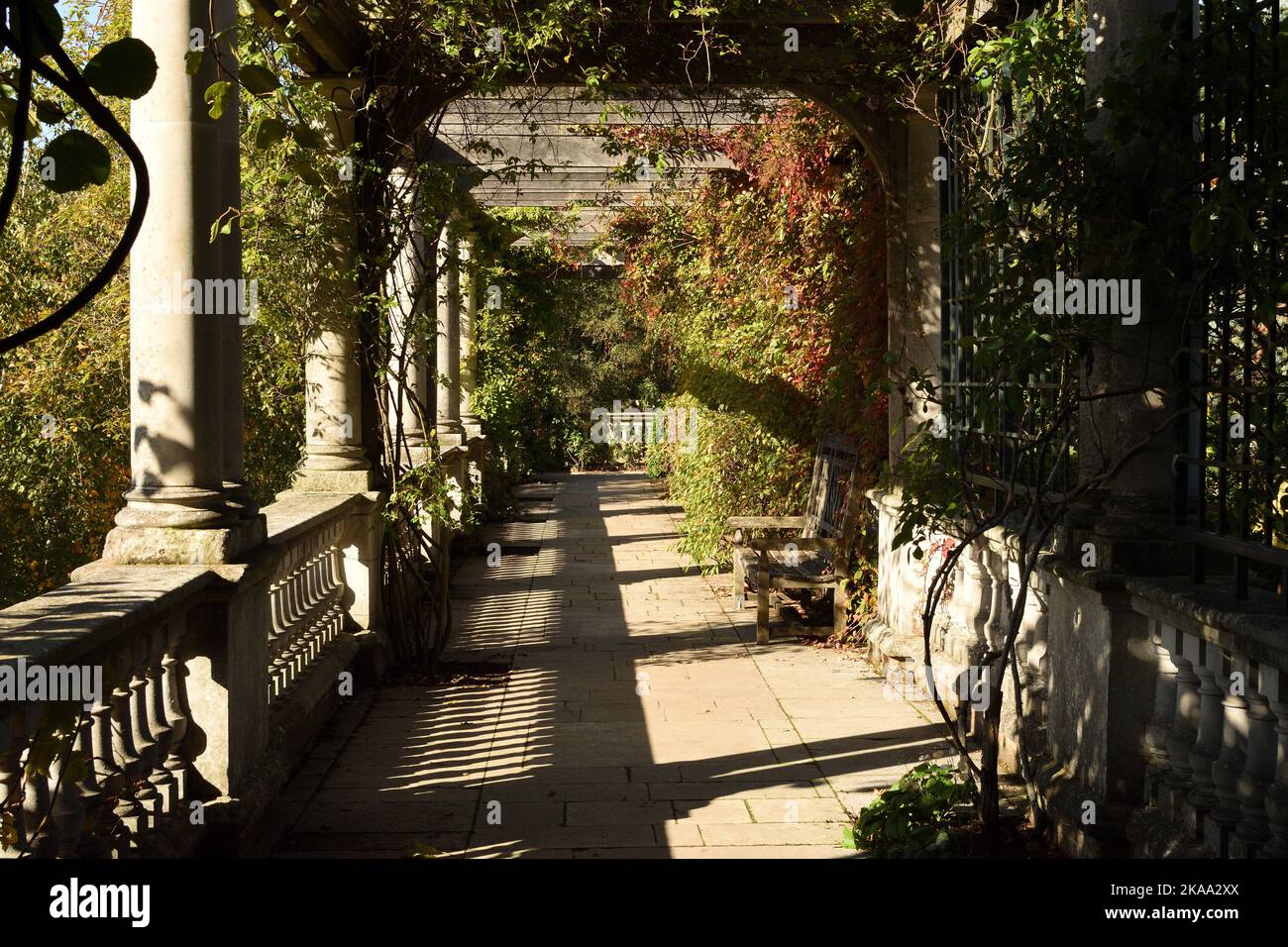 Une section de la grande arbour au jardin de la colline dans un coin de Hampstead Heath un jour ensoleillé d'automne. Londres, Angleterre. Banque D'Images