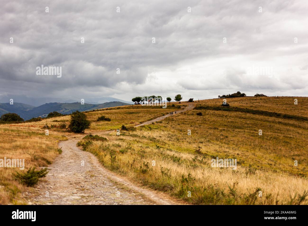 Route vers la Capilla de Soyartz le long du chemin du Puy, route française du chemin de Saint-Jacques, France Banque D'Images