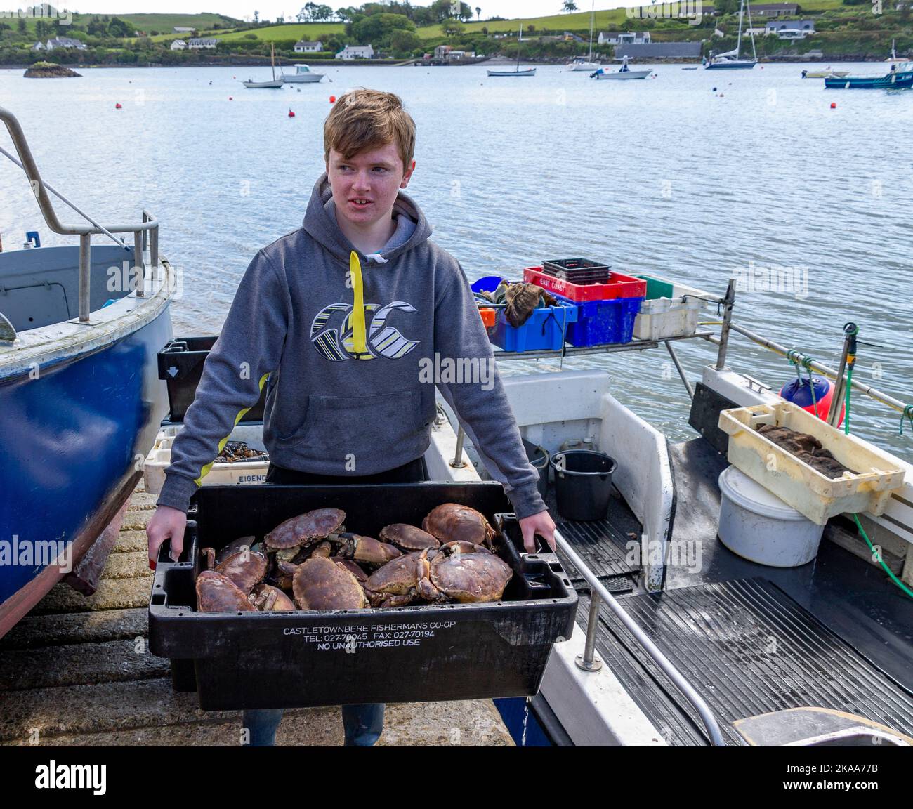 Jeune pêcheur mâle tenant une boîte de crabes comestibles bruns. Banque D'Images
