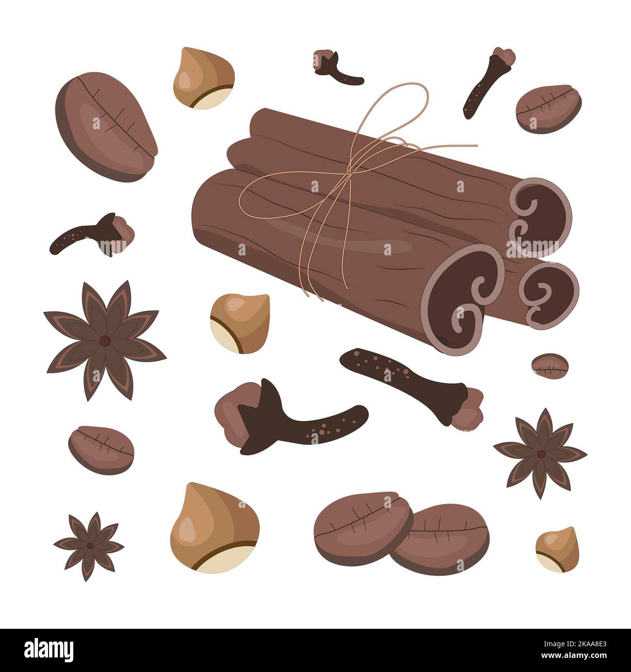 Ensemble d'épices vectorielles - mélange à quatre épices ou épice à la citrouille Banque D'Images