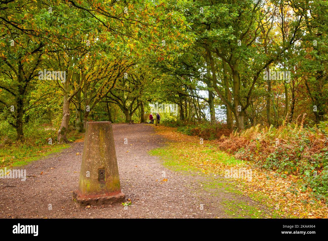 L'enquête sur l'ordnance a trig point sur Kinver Edge Staffordshire England Banque D'Images
