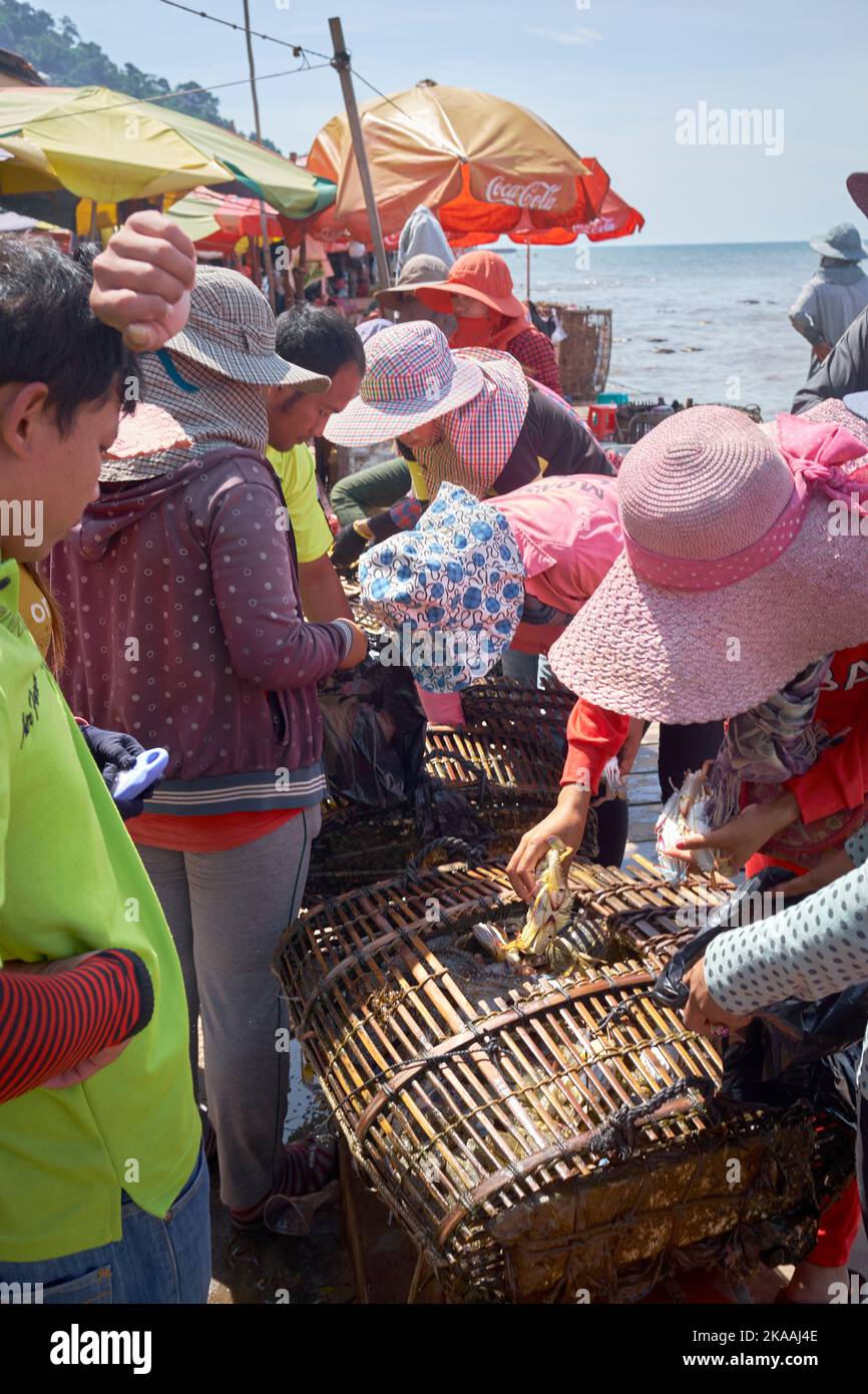 Femmes locales triant les pots de crabe au marché de crabe du village de pêcheurs à Kep Cambodge Banque D'Images