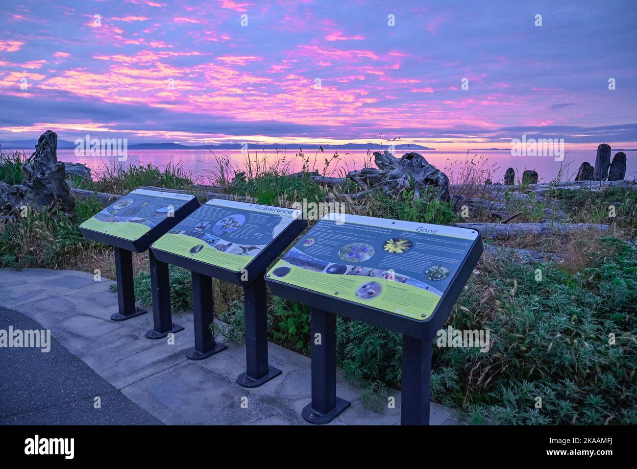 Exposition d'interprétation, parc Goose Spit, Comox, Britiah Columbia, Canada Banque D'Images