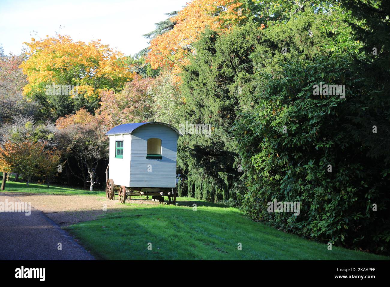 Automne à Petworth Park, West Sussex Banque D'Images