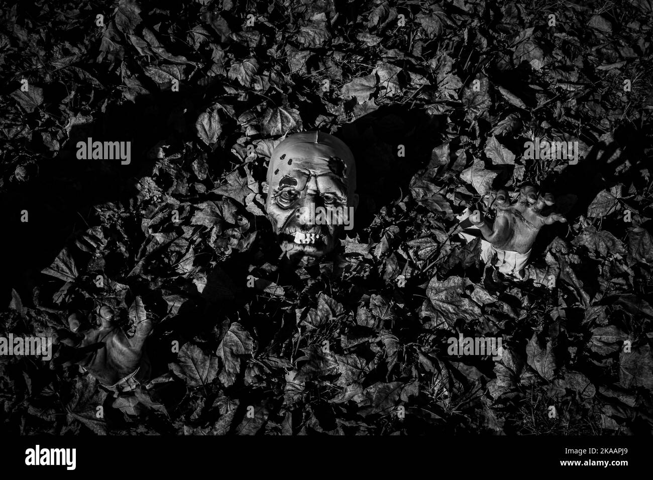 Noir et blanc d'un zombie créepy rampant hors de la tombe Banque D'Images