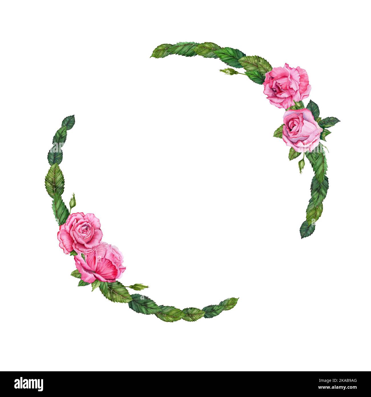 Couronne d'illustration florale à motif roses aquarelle. Fleurs roses dessinées à la main avec feuilles vertes sur fond blanc. Cadre pour cartes et invitations Banque D'Images