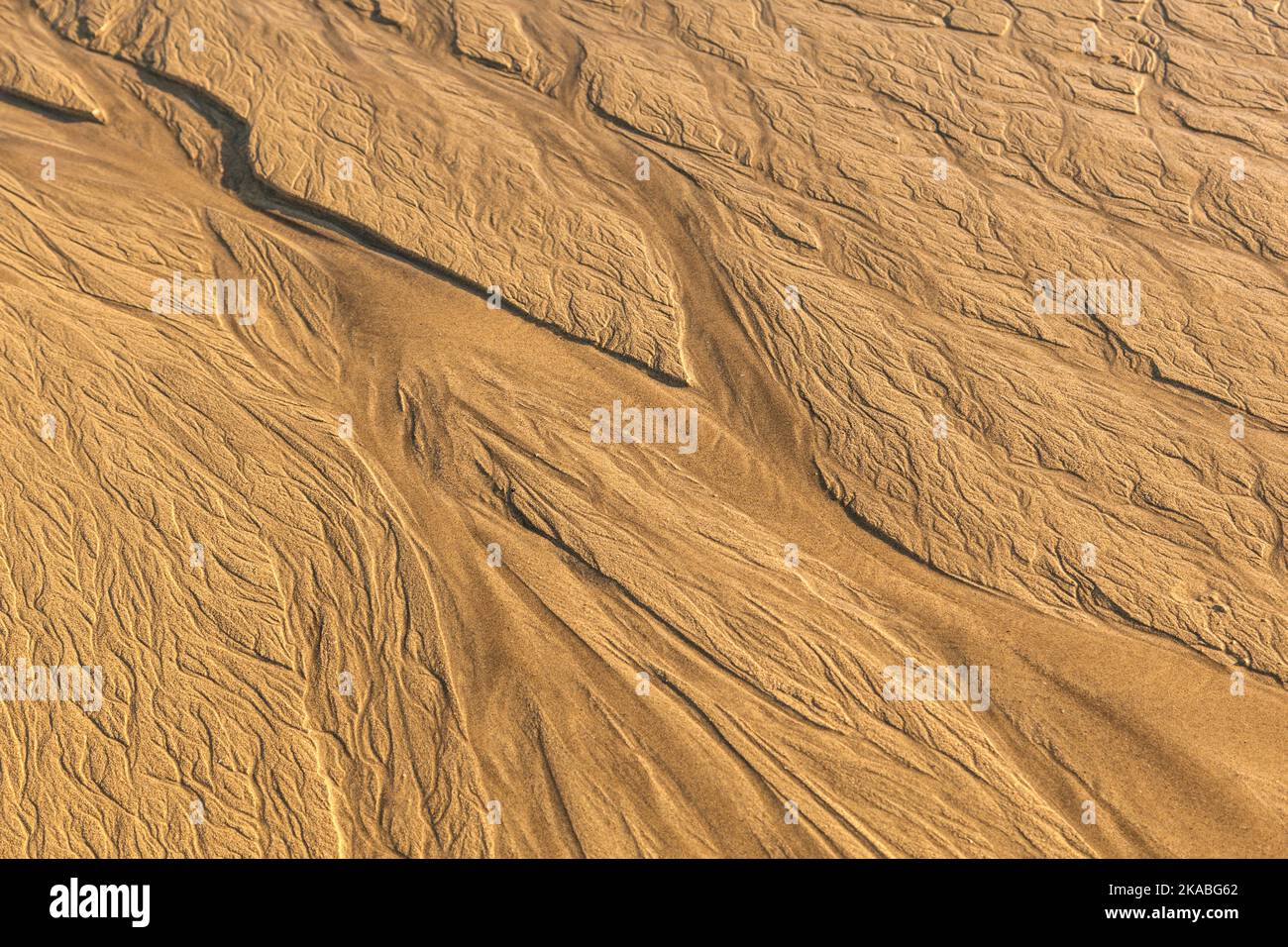 texture sur la plage de sable pendant le temps de marée basse Banque D'Images