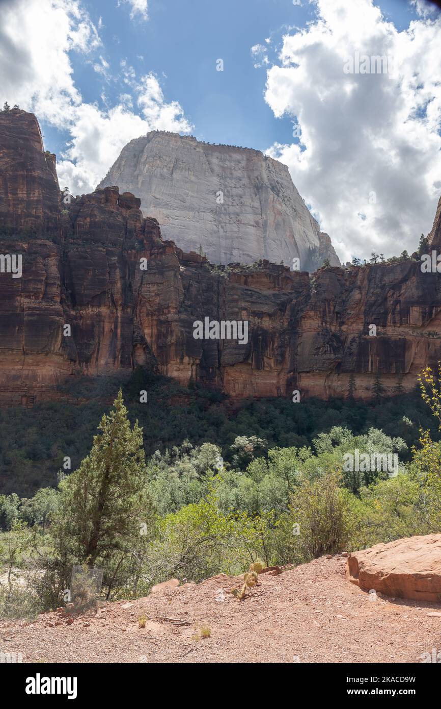 L'un des monuments les plus impressionnants de Zion, le monolithe blanc imposant du Grand trône blanc Banque D'Images