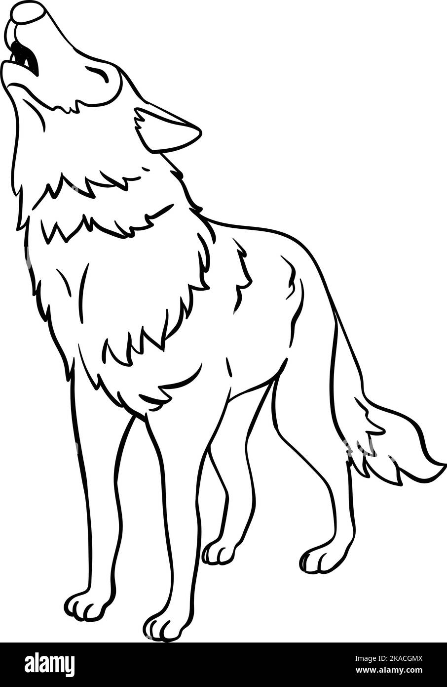 Page de coloriage isolée Wolf pour enfants Illustration de Vecteur