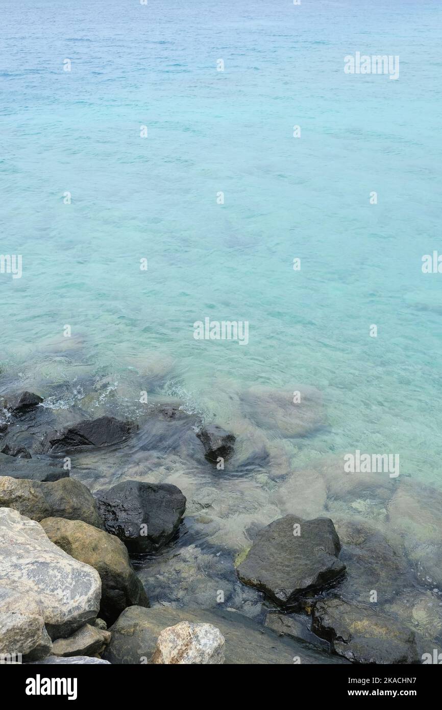 Rasdhoo est célèbre pour ses habitats de requins de récif noirs et blancs. C'est une petite île dans l'atoll d'Ari du Nord avec de belles plages. Banque D'Images