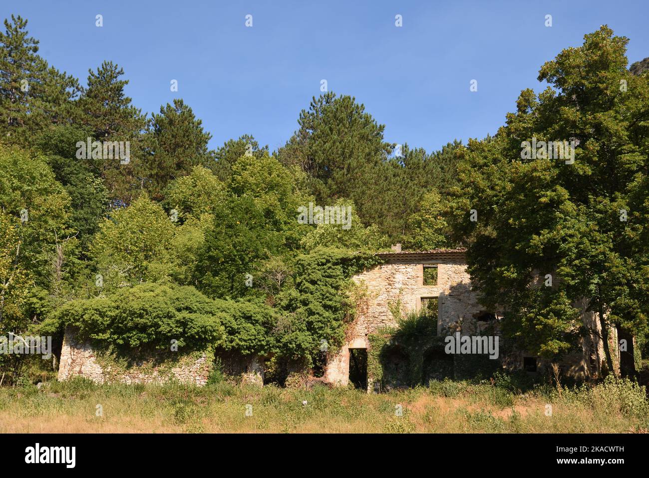 Ferme de Fuoc abandonnée, ferme de Fuoc, dans la forêt de Saou, région de Saou Drôme Provence France Banque D'Images
