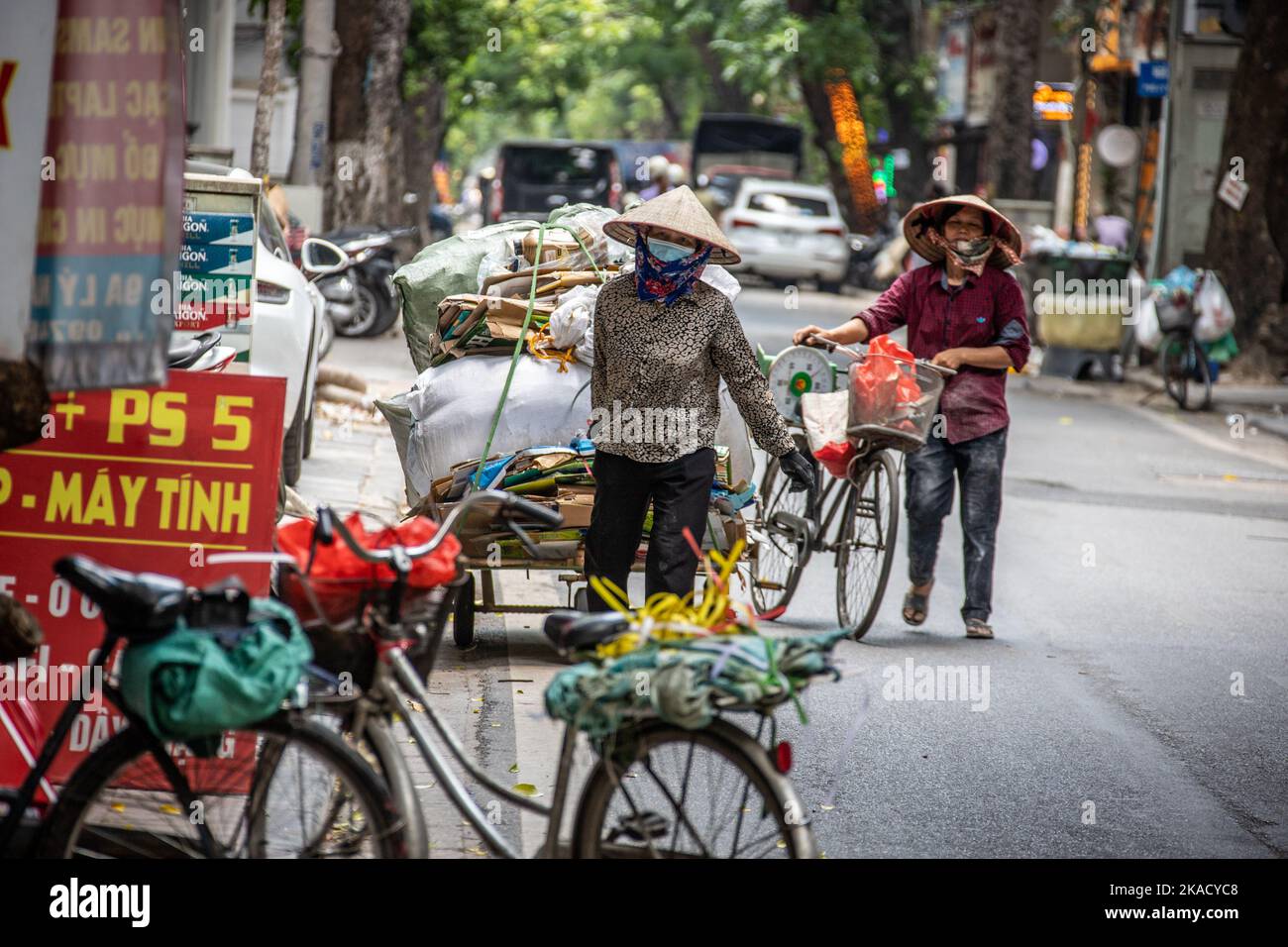 Femme collectant du carton pour le recyclage, Hanoï, Vietnam Banque D'Images