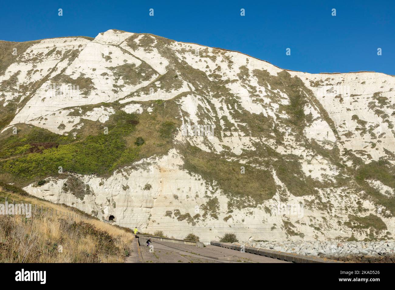 Falaises blanches, parc de Samphir Hoe, Kent, Angleterre, Grande-Bretagne Banque D'Images