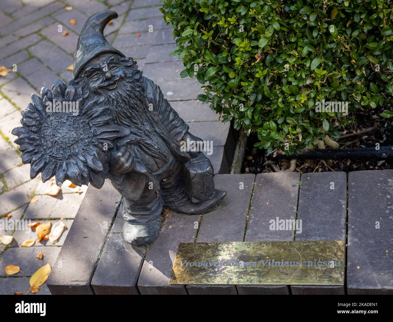 Vilnius, Lituanie - 26 septembre 2022 : une statue de Zyczliwek naine de bronze, un cadeau de la ville polonaise de Wroclaw à Vilnius. Jardin Bernardine dans le vieux Towm. Banque D'Images