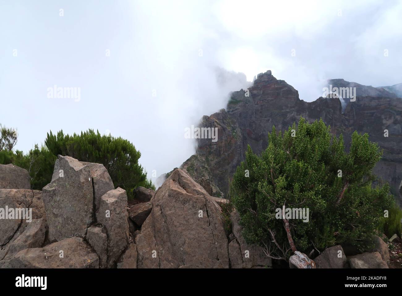 Paysage de montagne sauvage le long d'un sentier de roi entre Pico Ruivo et Pico Arierio à Madère, Portugal Banque D'Images