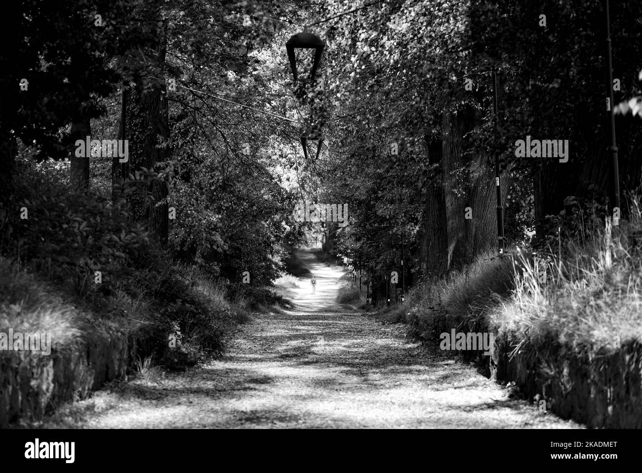 Książ Banque D'Images