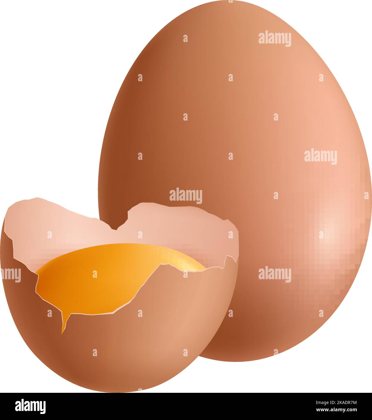 Faire dorer l'œuf de poulet entier et demi avec une illustration vectorielle réaliste du jaune Illustration de Vecteur