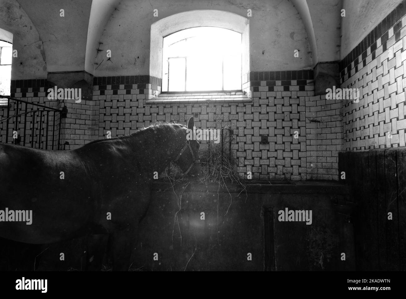 Książ Banque D'Images