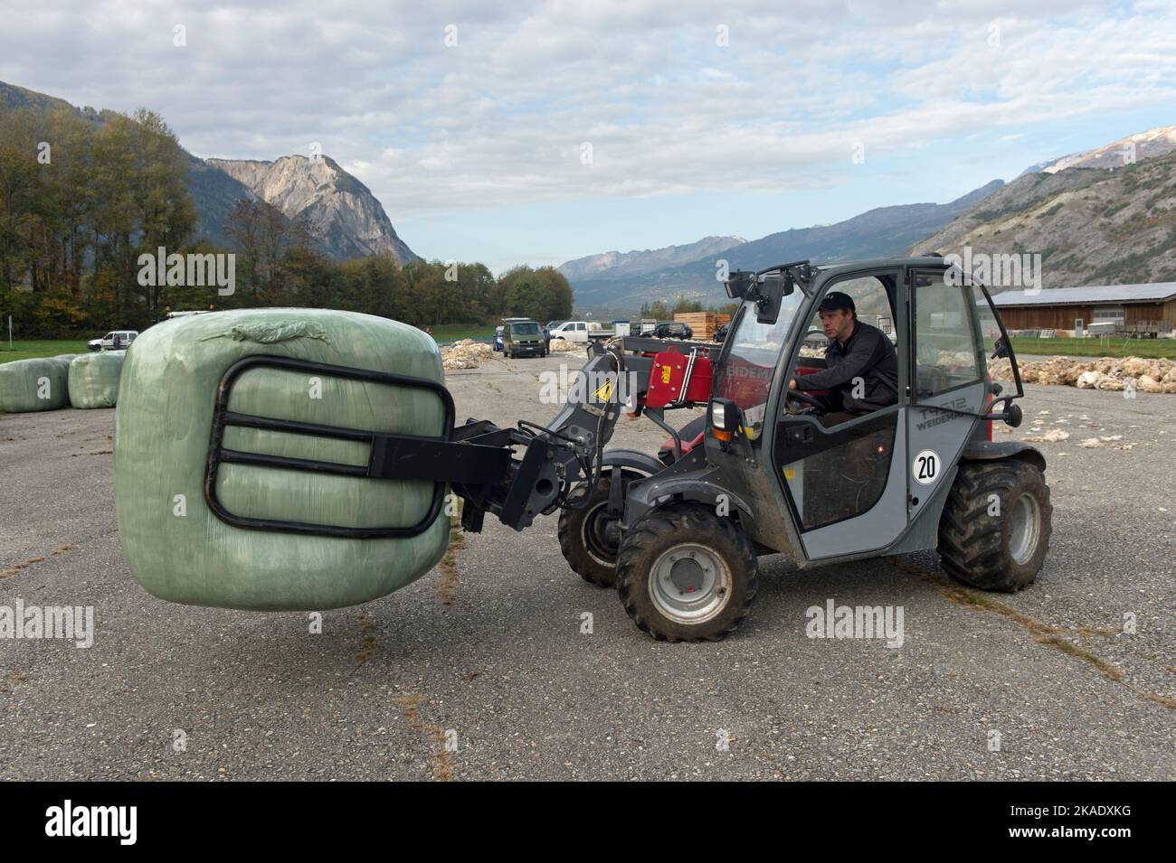 Téléhandler transporte une balle de laine, livraison de laine de brebis galeuses du Valais à un point de collecte de Swisswool, Turtmann, Valais, Suisse Banque D'Images