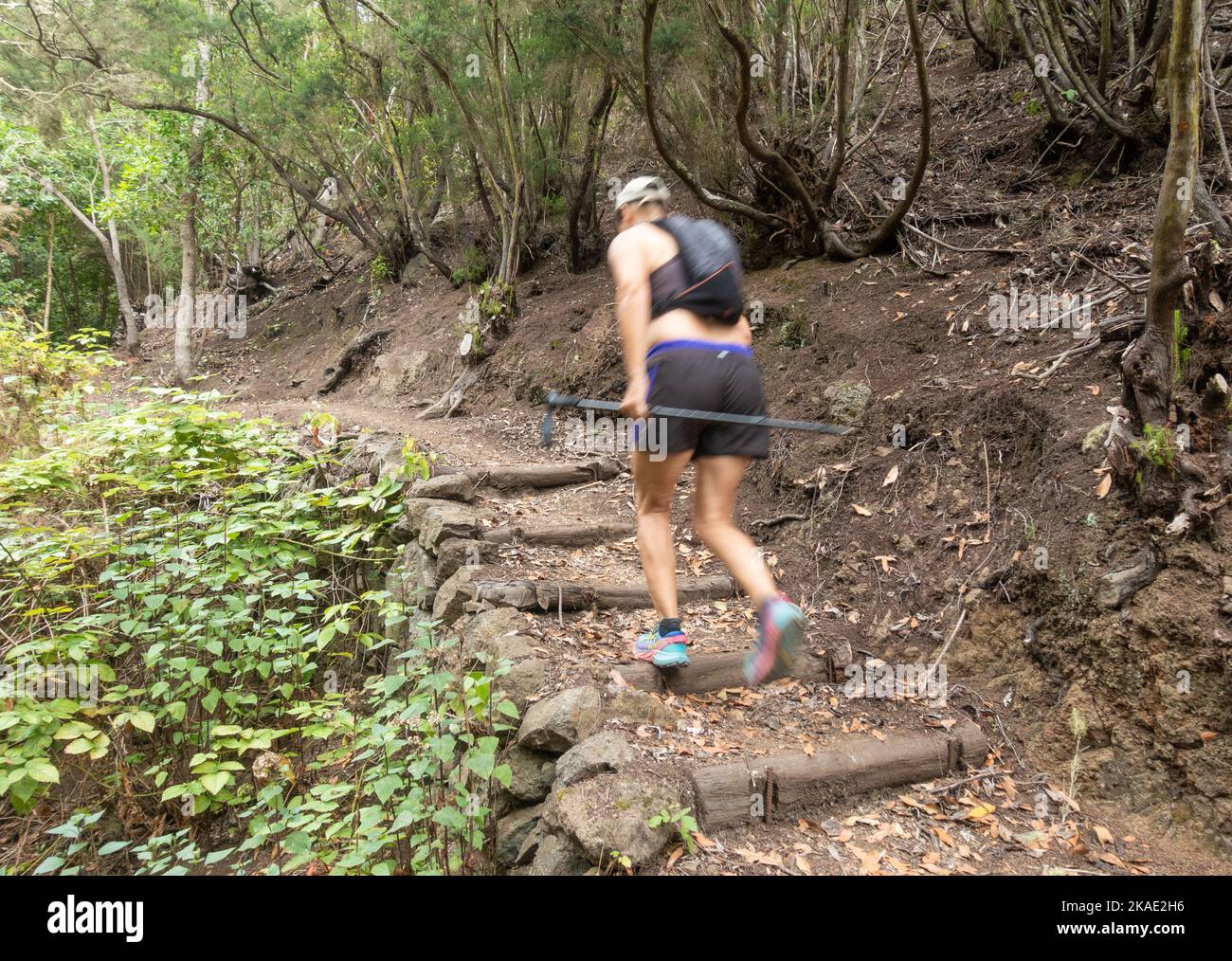 Femme mature coureur de sentier, courant dans la forêt. Banque D'Images