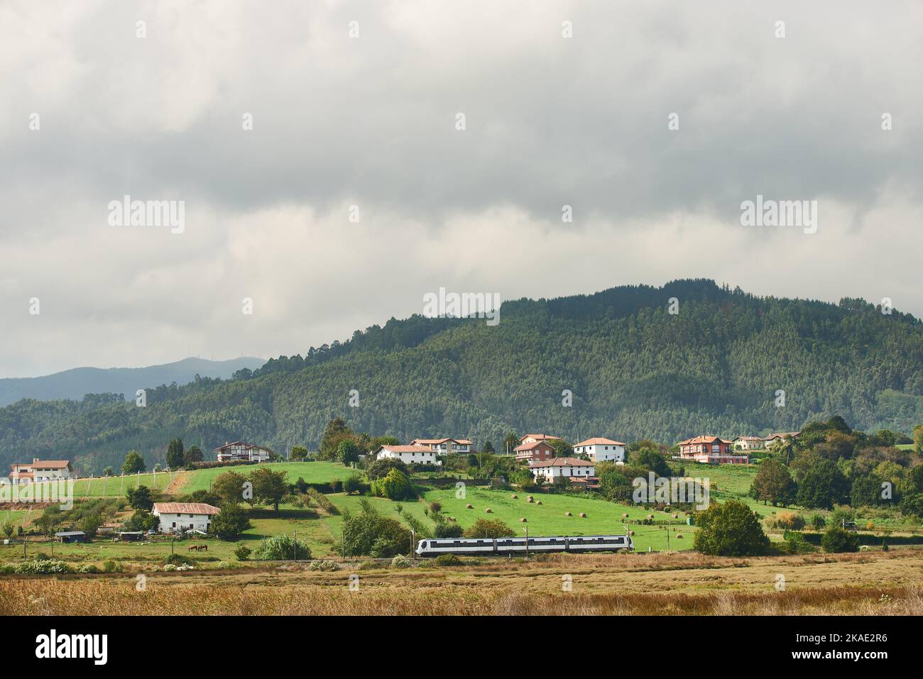 TREN cruzando la Reserva de la Biosfera del Urdaibai, Gascogne, pays basque, Euskadi, Euskal Herria, Espagne, Europe. Banque D'Images