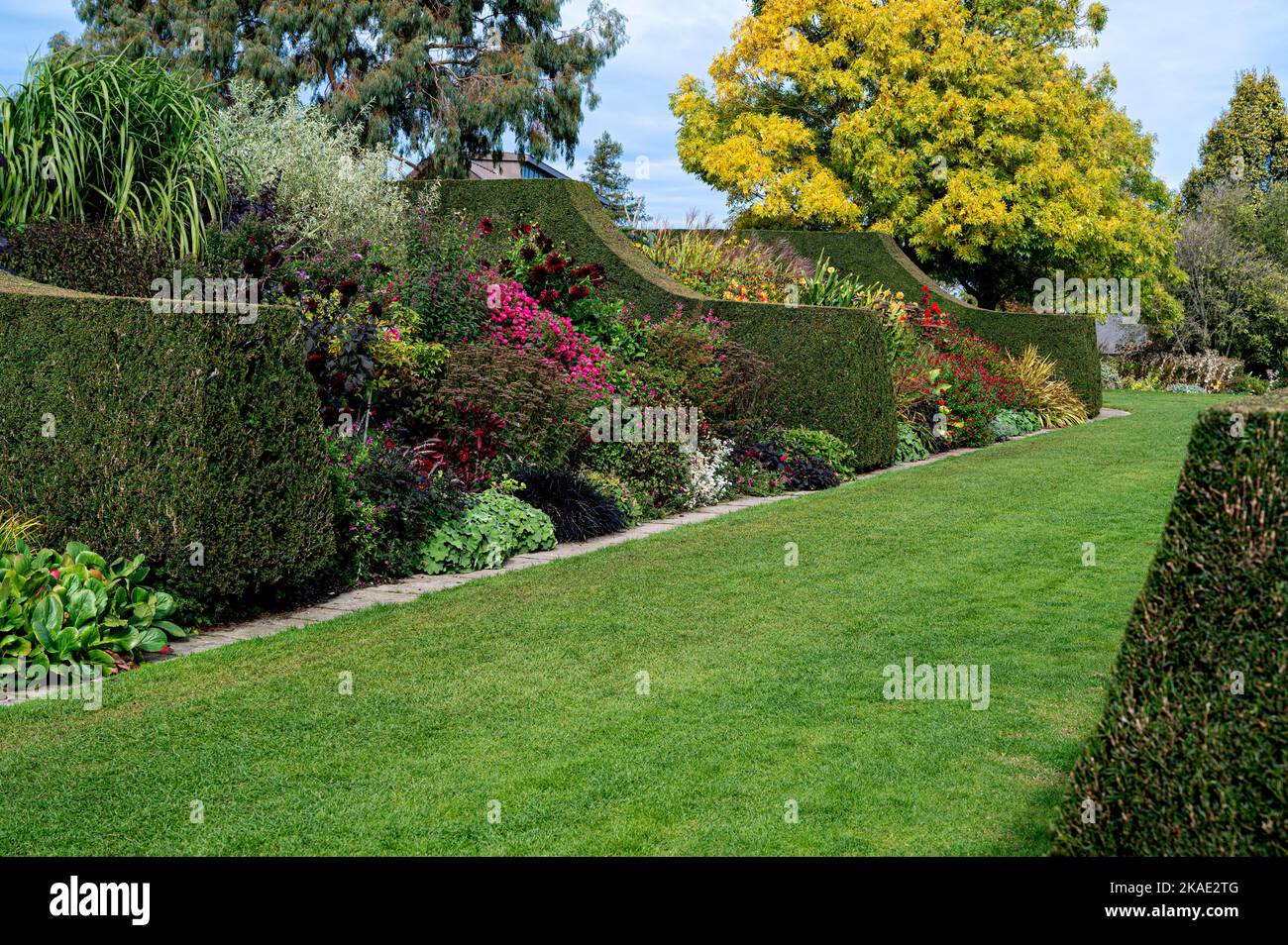 RHS Hyde Hall, Royal Horticultural Society. Les bordures herbacées avec une couverture très nette de l'if, et beaucoup de couleur de fin de saison. Banque D'Images