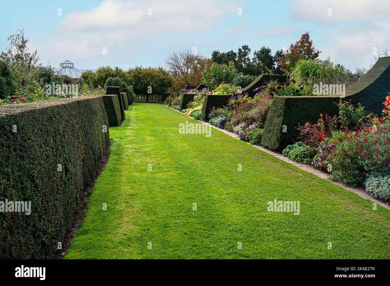 RHS Hyde Hall, Royal Horticultural Society. Les bordures herbacées avec une couverture très nette de l'if, et beaucoup de couleur de fin de saison. Banque D'Images