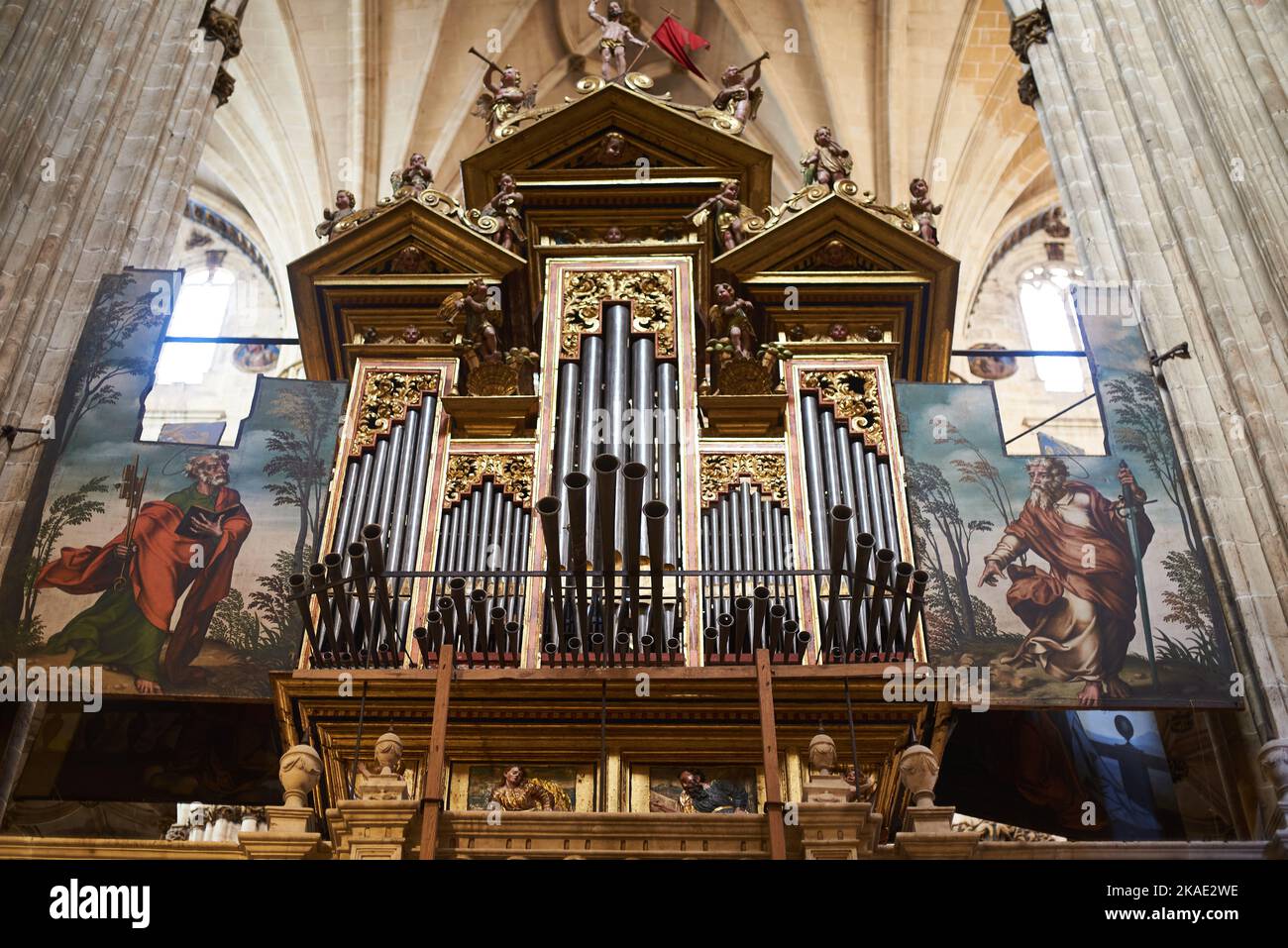 Nouvelle cathédrale de Salamanque, Salamanque, Espagne, Europe. Banque D'Images