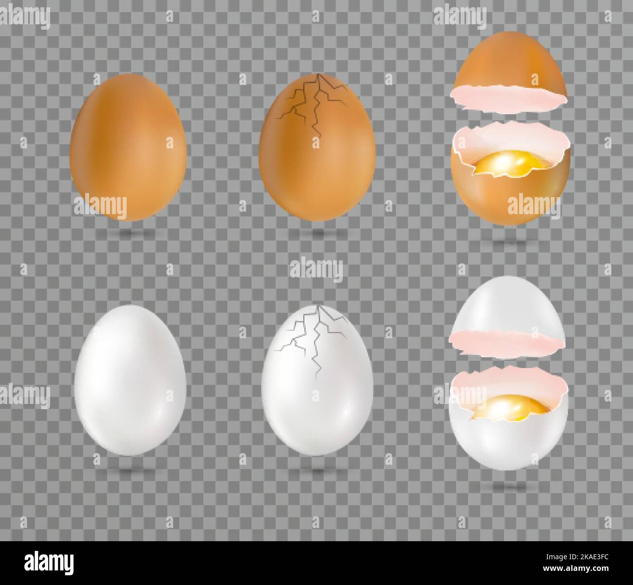 Oeufs cassés de poulet cru brun et blanc isolés contre fond transparent réaliste ensemble scénario illustration Illustration de Vecteur