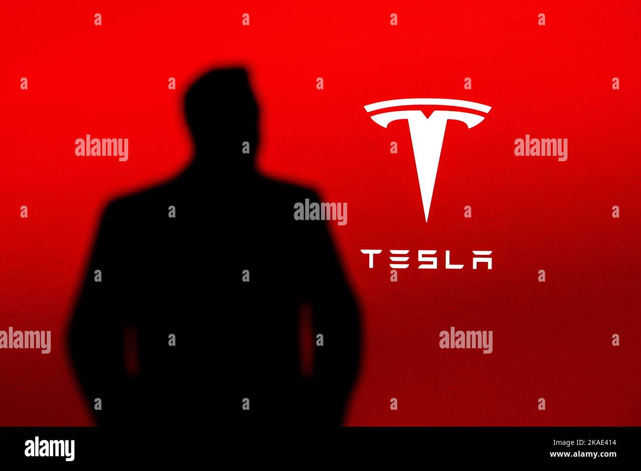 NEW YORK, ÉTATS-UNIS, 2. OCTOBRE 2022: Silhouette de magnat d'affaires et investisseur Elon Musk, logo de la société Tesla en arrière-plan Banque D'Images
