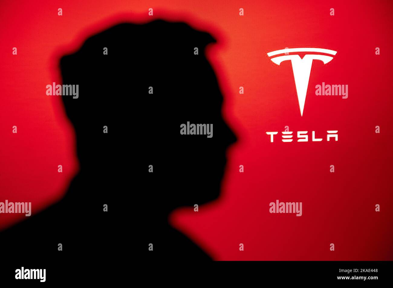 NEW YORK, ÉTATS-UNIS, 2. OCTOBRE 2022 : Portrait du magnat d'affaires et investisseur Elon Musk, logo de la société Tesla en arrière-plan Banque D'Images