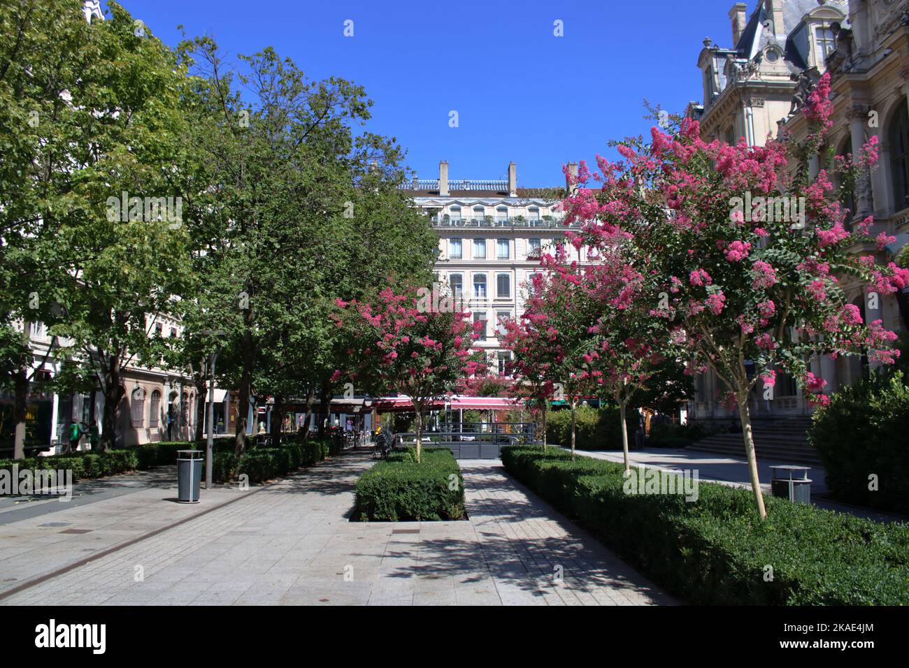 Belle vue d'été sur la place de la Bourse située dans le quartier Cordeliers de Lyon France. Banque D'Images