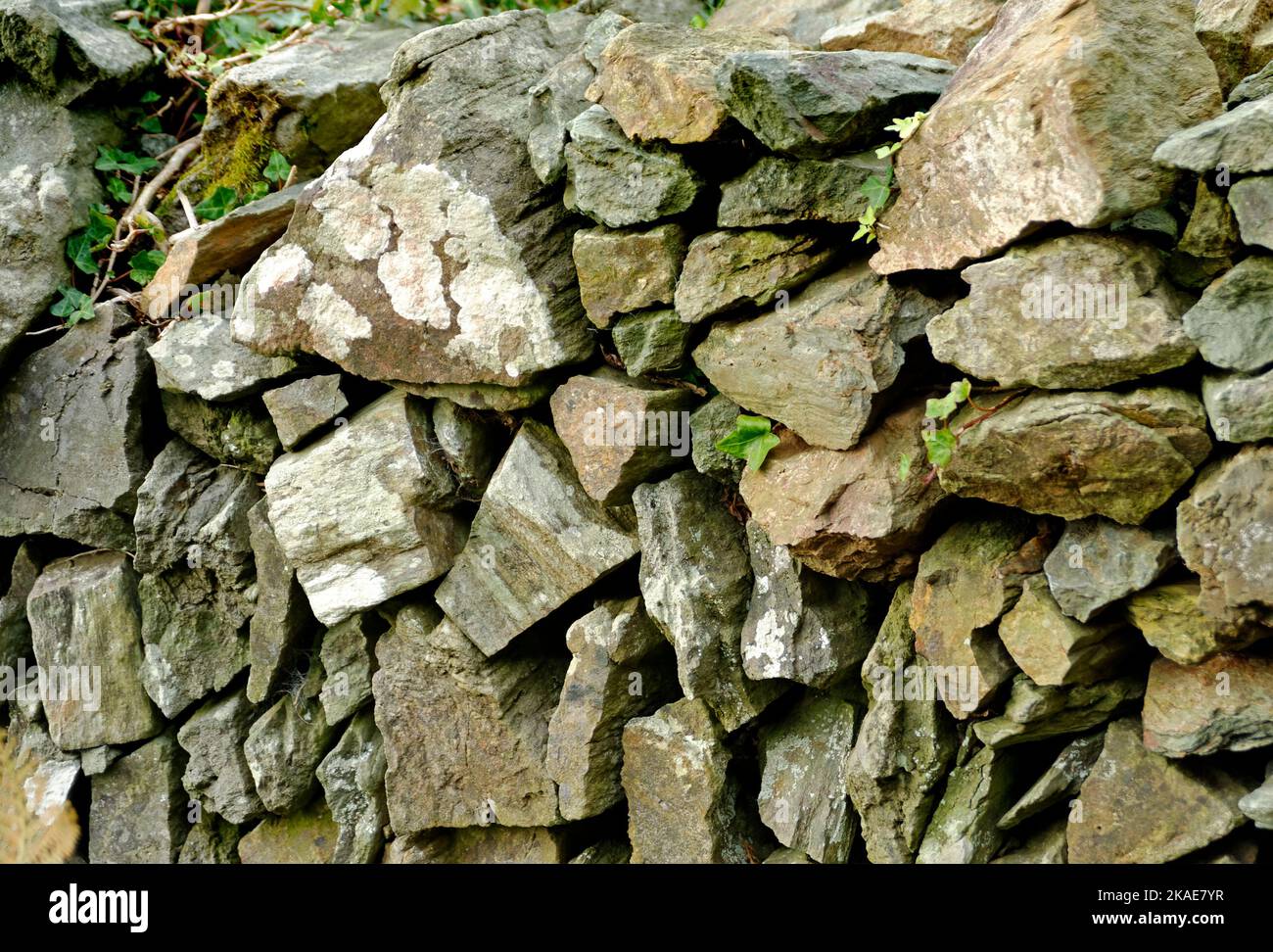 Mur en pierre sur le sentier côtier sud du Devon Banque D'Images