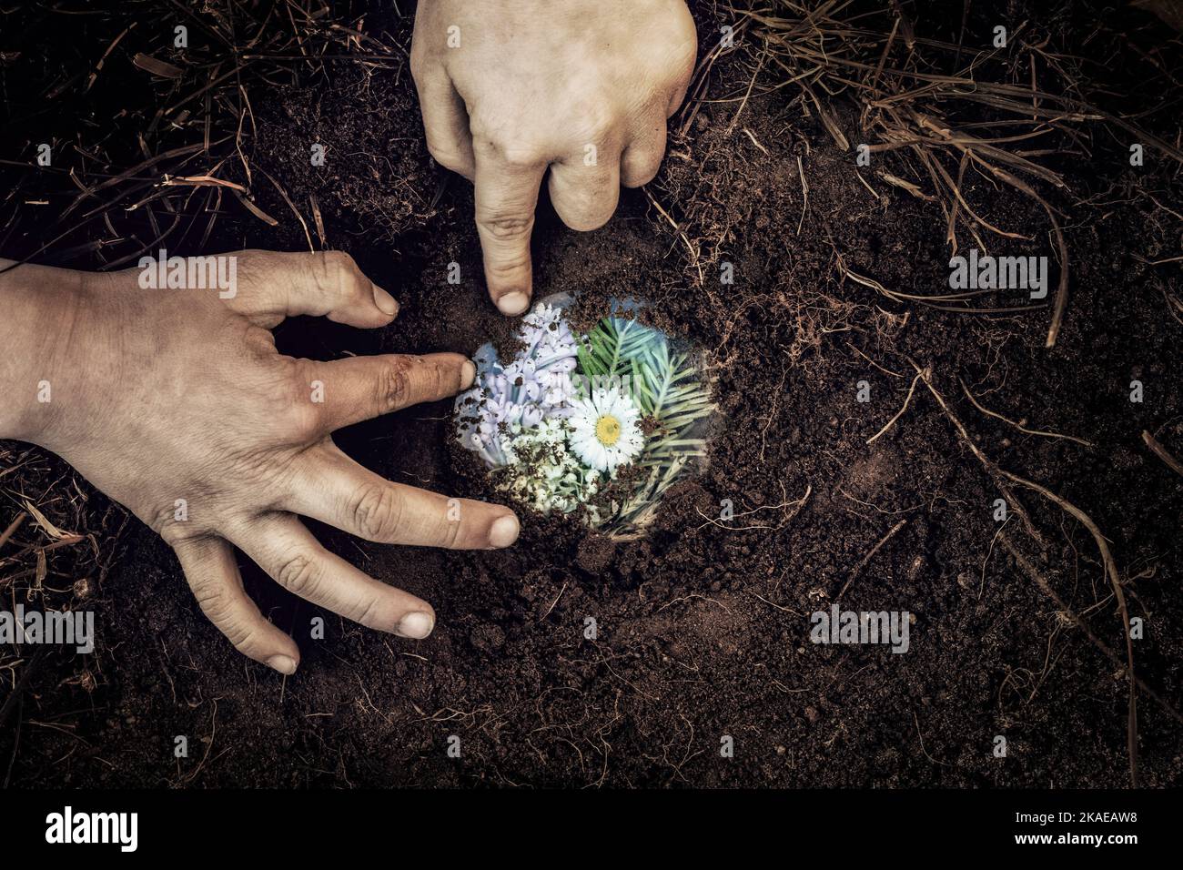 photographie de concept sur l'environnement et la sauvegarde de la nature Banque D'Images