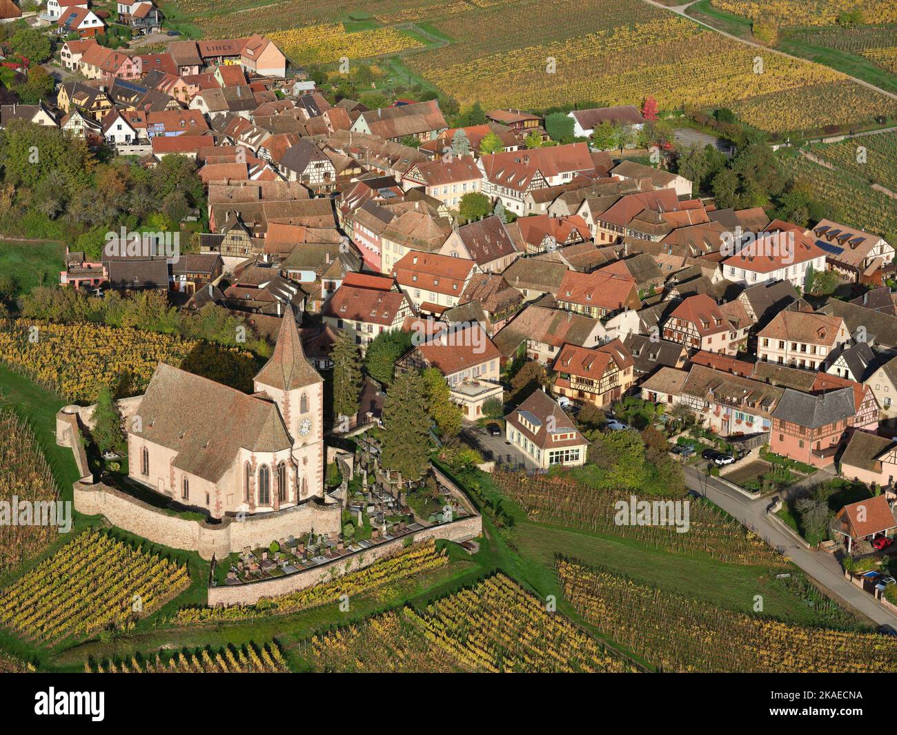 VUE AÉRIENNE. Village pittoresque au pied des Vosges avec ses vignobles aux couleurs automnales. Hunawihr, Alsace, Grand est, France. Banque D'Images